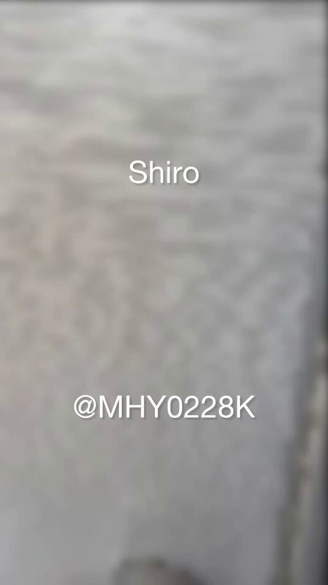 先日の裏側。 フォロワーさんを自宅に招いて 玄関で即尺... こんなに緊張しながらご奉仕したのは初めてです